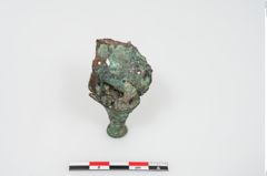 Foto von Bronzephalere (NHMW-PRAE-025544a)